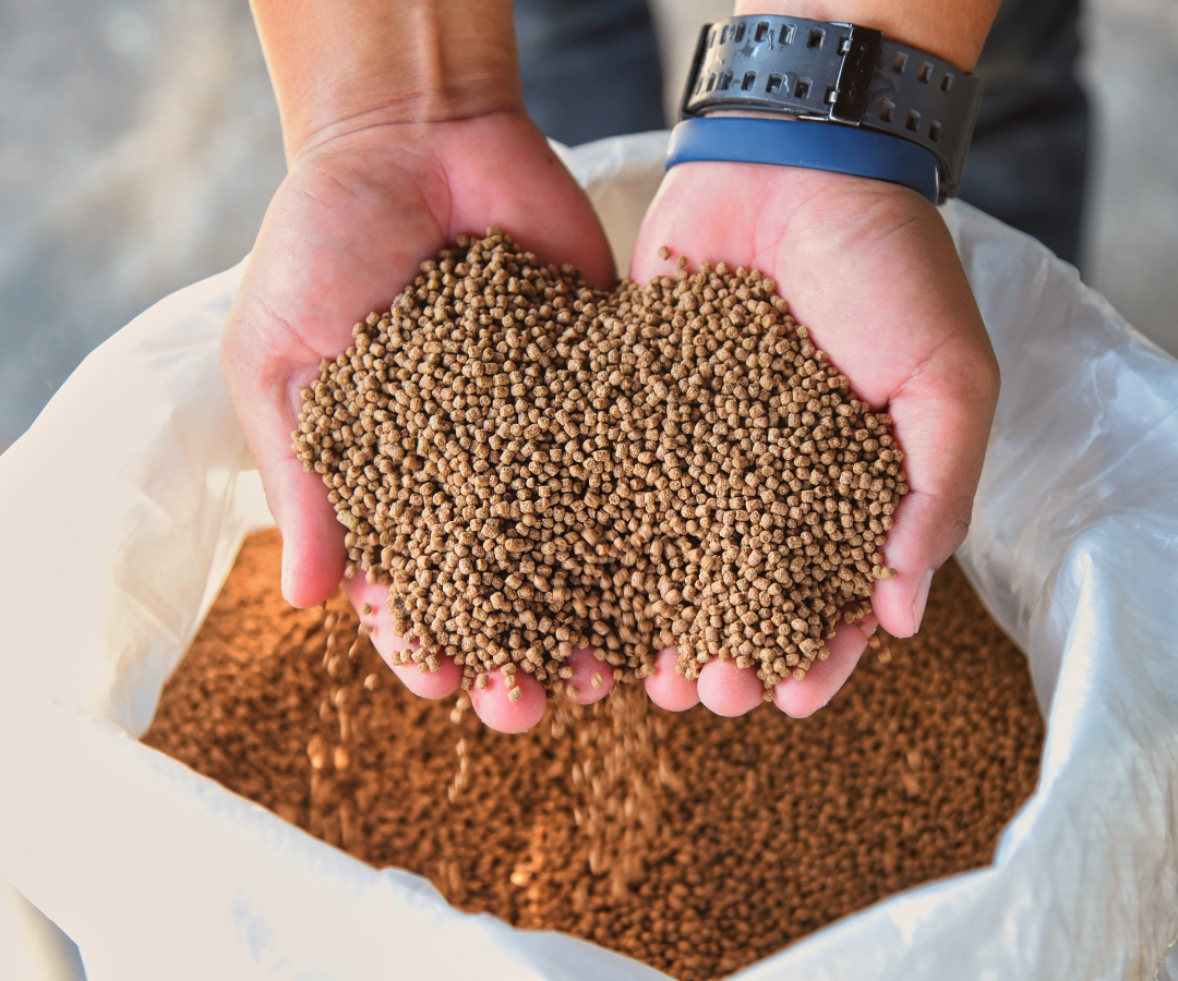 Global pet food